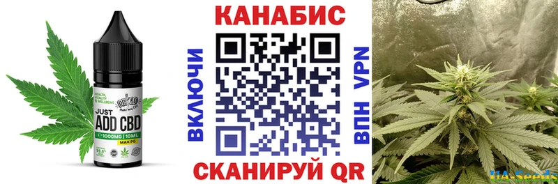 Cannafood марихуана  kraken tor  Тара  продажа наркотиков 