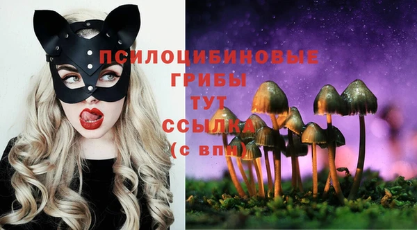 кристаллы Медвежьегорск