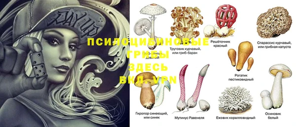 дмт Медногорск
