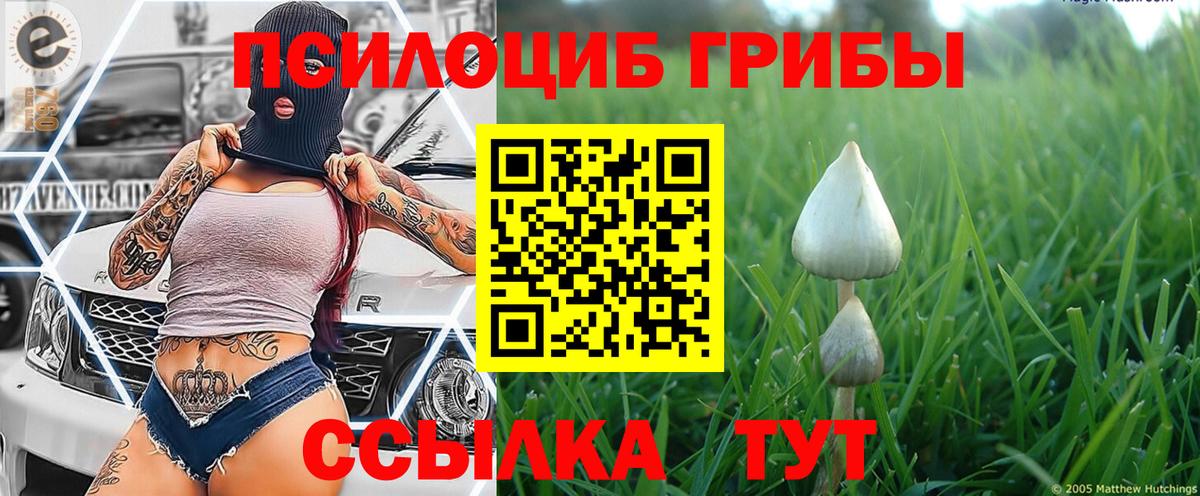 Галлюциногенные грибы GOLDEN TEACHER  даркнет сайт  Псилоцибиновые грибы мухоморы  Тара 